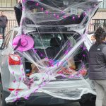 15 | Springbrook Trunk or Treat