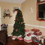 | Springbrook Christmas Party