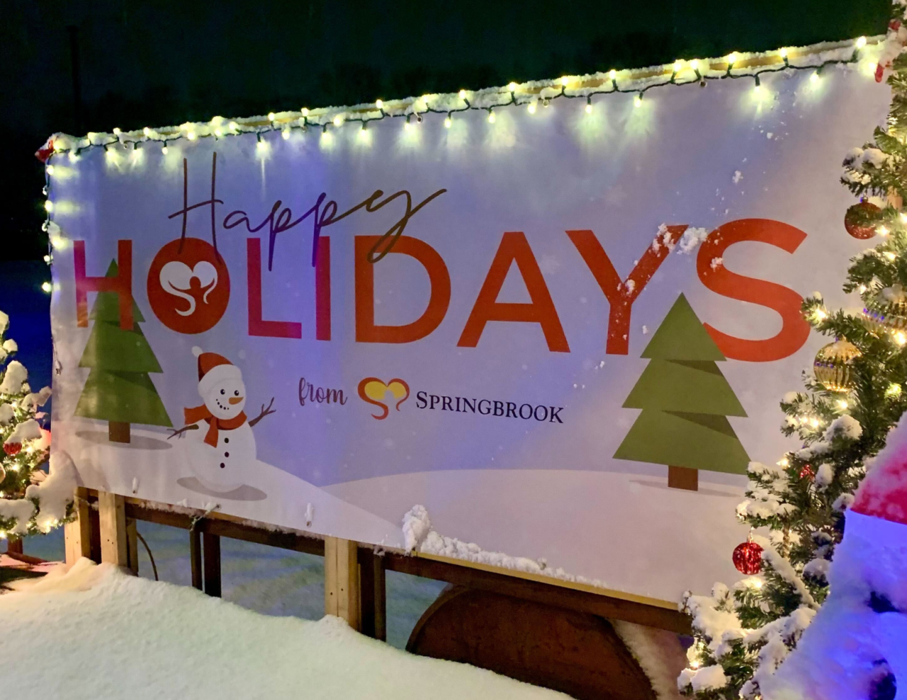 Springbrook Oneonta Springbrook Sponsors Oneonta Festival of Lights | Springbrook