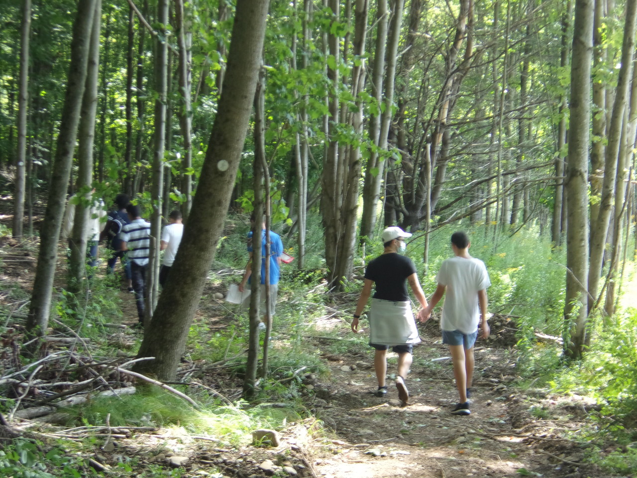MainCampusTrail(5) | Springbrook MainCampusTrail(5)
